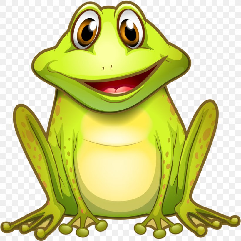 Frog Cartoon, PNG, 977x975px, Frog, Agalychnis, Amphibian, Art, Bufo Download Free