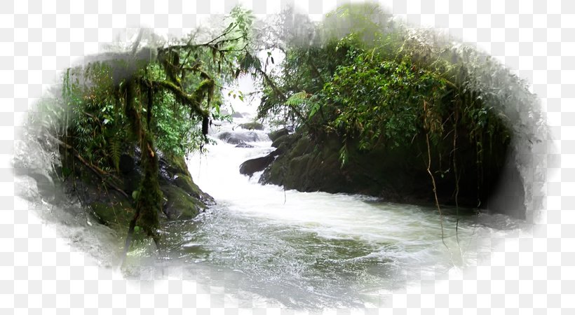 La Paz Waterfall, Costa Rica Song For The Mountain Desktop Wallpaper River, PNG, 800x450px, Waterfall, Costa Rica, Desktop Metaphor, Forest, Nature Download Free