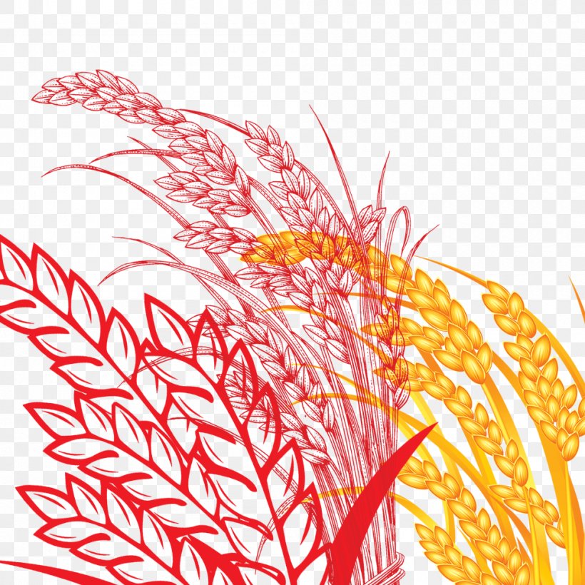 Rice Grasses Oryza Sativa Drawing, PNG, 1000x1000px, Rice, Agriculture, Commodity, Drawing, Flower Download Free