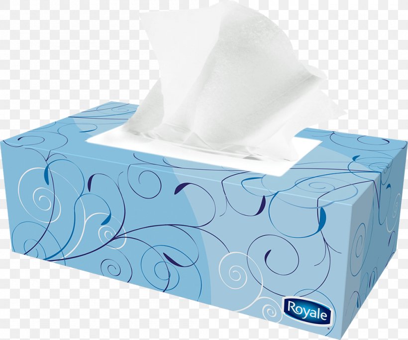 Tissue Paper Box Facial Tissues Toilet Paper, PNG, 1000x833px, Paper, Box, Carton, Cloth Napkins, Face Download Free