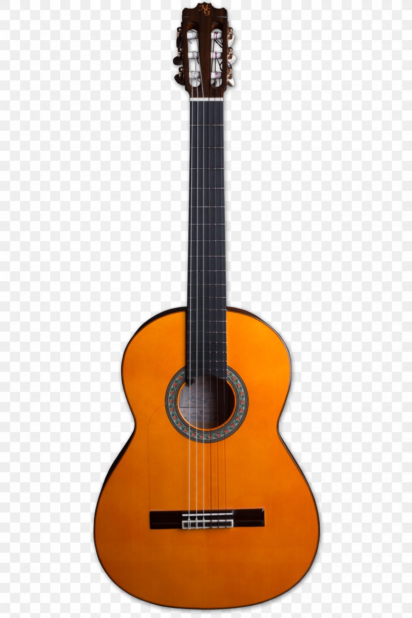 Ukulele Classical Guitar Cordoba C7 Musical Instruments, PNG, 2500x3750px, Ukulele, Acoustic Electric Guitar, Acoustic Guitar, Bass Guitar, Cavaquinho Download Free