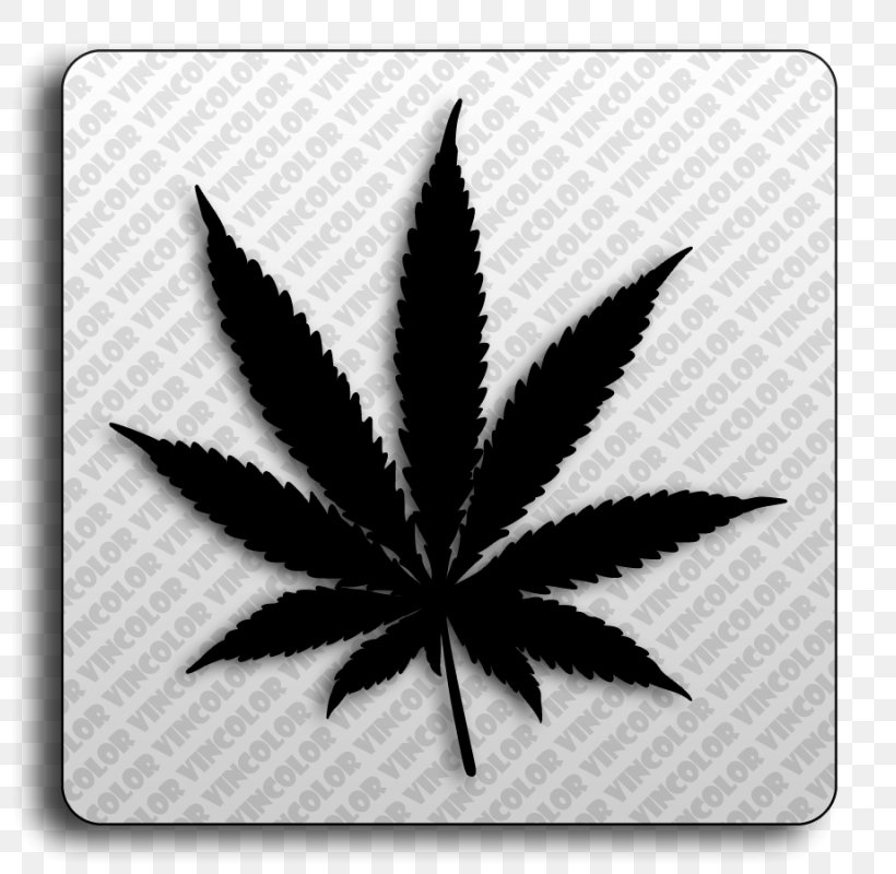 Cannabis Smoking Drug Cannabis Smoking Medical Cannabis, PNG, 800x800px, Cannabis, Addiction, Black And White, Cannabis Smoking, Drug Download Free