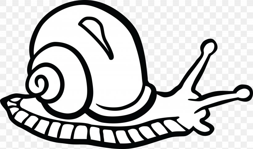 Gastropods Snail Black And White Clip Art, PNG, 4000x2362px, Gastropods, Area, Art, Black And White, Drawing Download Free