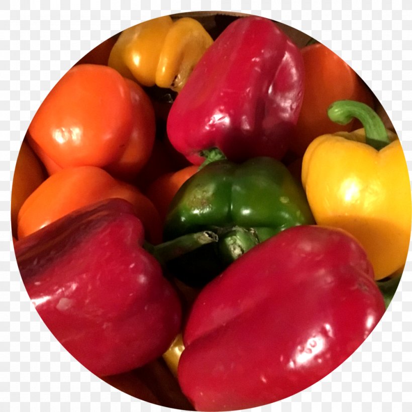 Habanero Piquillo Pepper Bell Pepper Vegetarian Cuisine Paprika, PNG, 1000x1000px, Habanero, Bell Pepper, Bell Peppers And Chili Peppers, Capsicum, Capsicum Annuum Download Free