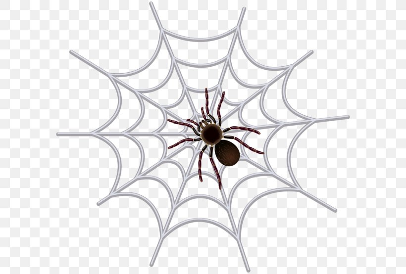 Spider Web Cricut Clip Art, PNG, 600x554px, Spider, Arachnid, Arthropod, Artwork, Craft Download Free