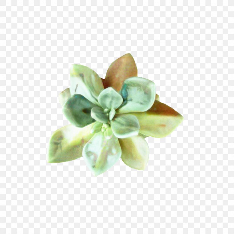 Green Leaf Background, PNG, 1280x1280px, Cactus, Beige, Brooch, Flower, Green Download Free