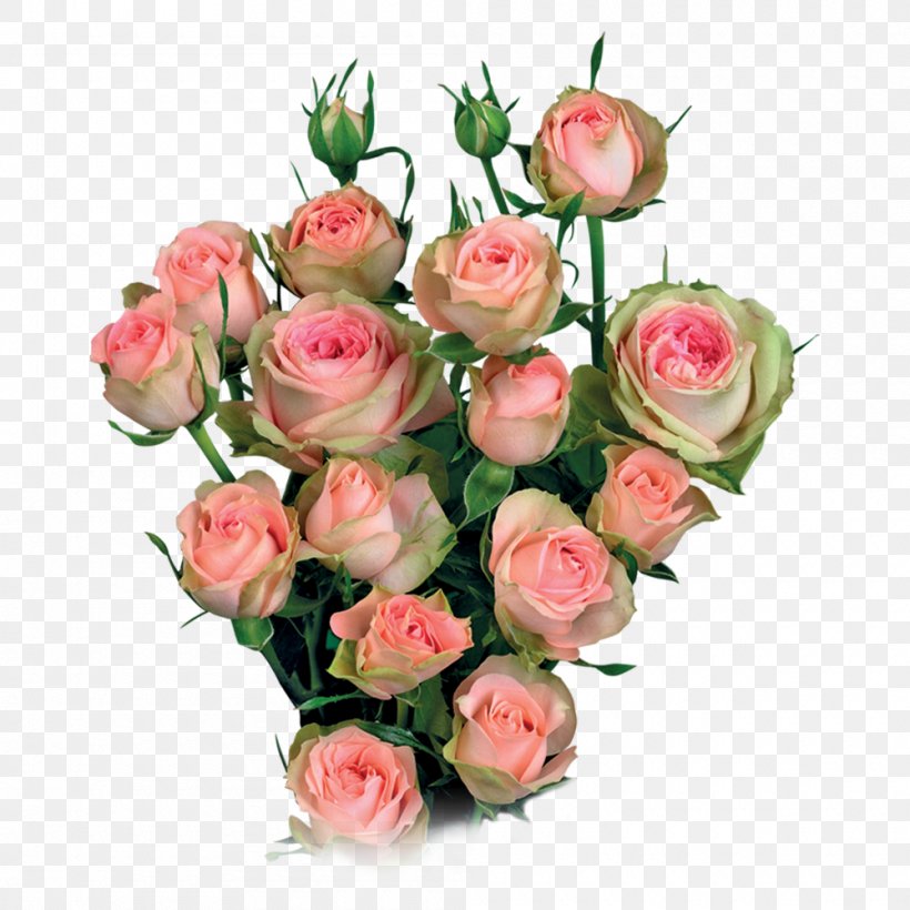 Garden Roses Cabbage Rose Cut Flowers Flower Bouquet Floral Design, PNG, 1000x1000px, Garden Roses, Artificial Flower, Blomsterbutikk, Cabbage Rose, Cut Flowers Download Free