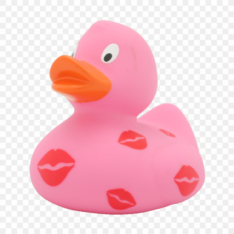 Rubber Duck Toy Dostawa Gum, PNG, 1840x1840px, Rubber Duck, Beak, Bird, Dostawa, Duck Download Free