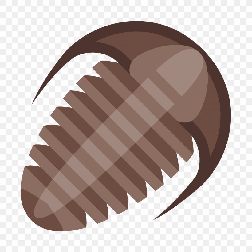 Trilobite Fossil Clip Art, PNG, 1600x1600px, Trilobite, Cambrian, Claw, Exoskeleton, Fossil Download Free
