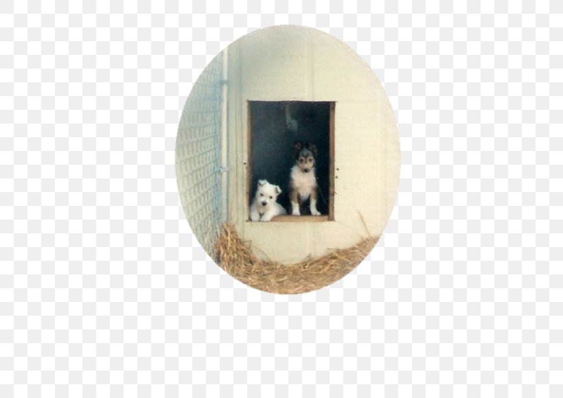 West Highland White Terrier North Carolina The Way To The Rose Picture Frames, PNG, 680x580px, West Highland White Terrier, North Carolina, Oval, Picture Frame, Picture Frames Download Free