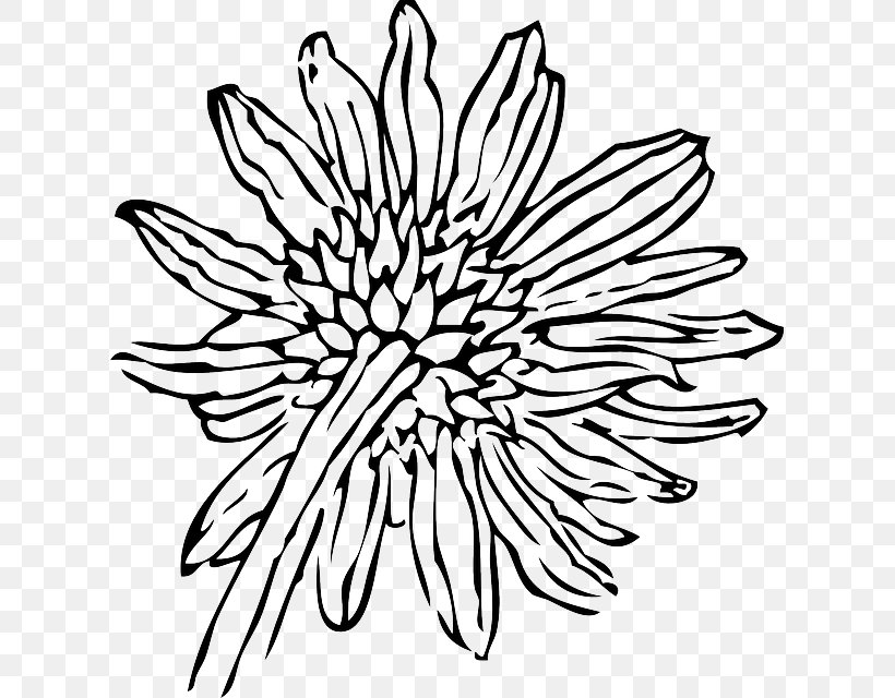 Common Sunflower Drawing Clip Art, PNG, 617x640px, Common Sunflower, Artwork, Black, Black And White, Chrysanths Download Free