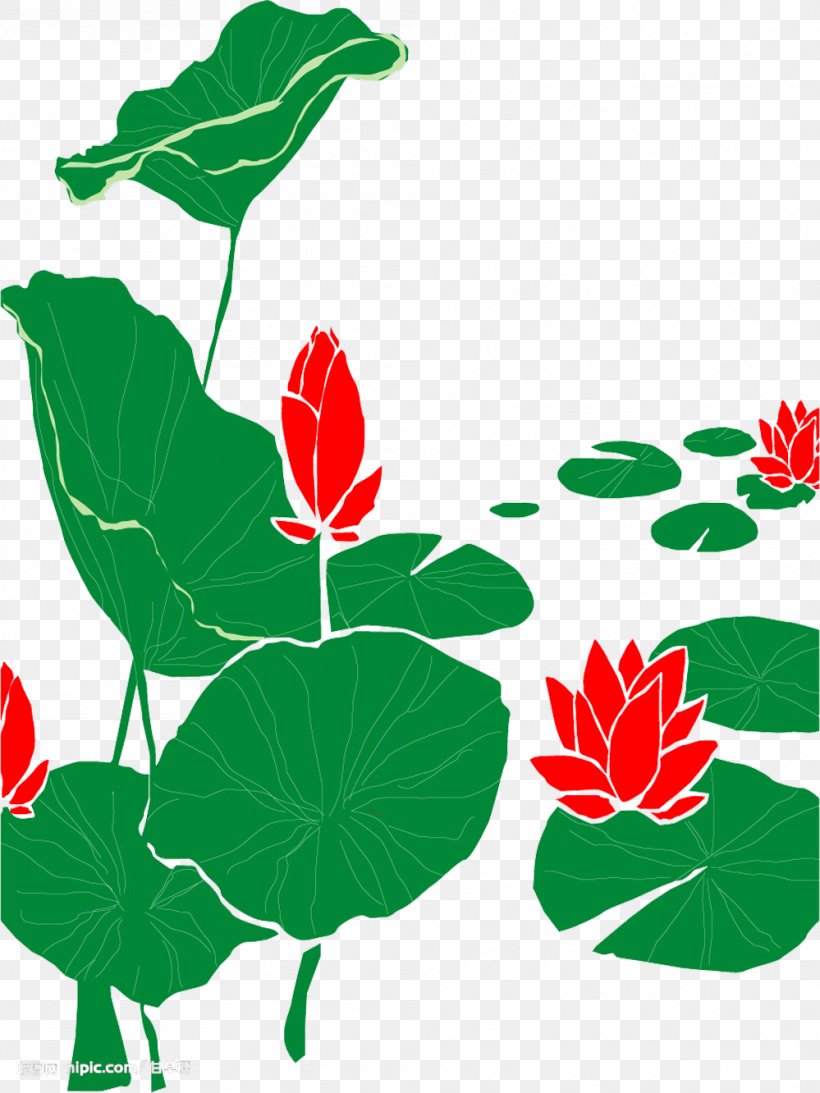 Drawing Nelumbo Nucifera Clip Art, PNG, 999x1332px, Drawing, Creativity, Flora, Floral Design, Flower Download Free