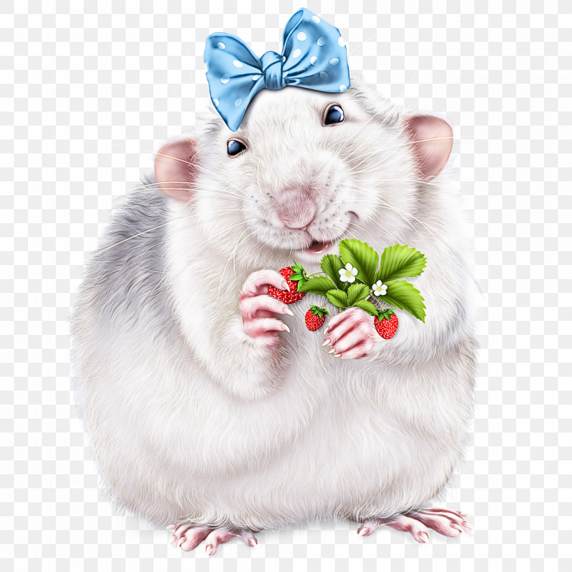 Hamsters Rodents Computer Mouse Whiskers Mongolian Gerbil, PNG, 2000x2000px, Hamsters, Computer Mouse, Mad Catz Rat M, Mongolian Gerbil, Pest Download Free