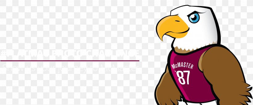 McMaster University Alumni Association Penguin Clip Art, PNG, 2500x1042px, Mcmaster University, Alumni Association, Alumnus, Art, Beak Download Free