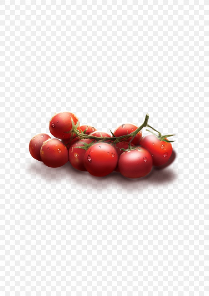 Plum Tomato Cherry Tomato Fruit Auglis, PNG, 2480x3508px, Plum Tomato, Auglis, Cherry, Cherry Tomato, Cranberry Download Free