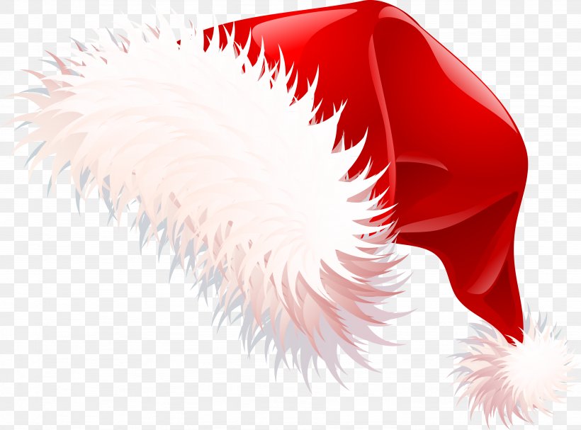 Santa Claus Christmas Santa Suit Clip Art, PNG, 3688x2732px, Santa Claus, Christmas, Christmas Elf, Close Up, Eyelash Download Free