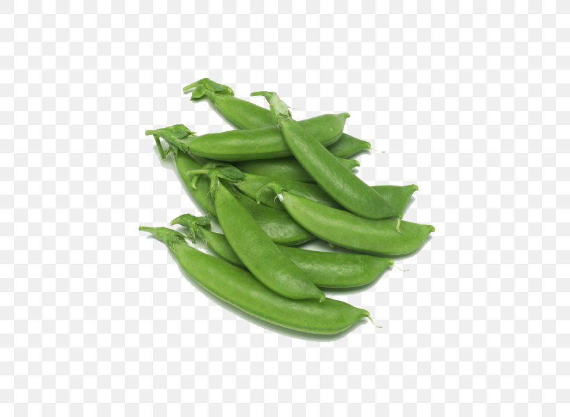 Snap Pea Edamame Vegetable Bean, PNG, 600x600px, Pea, Arracacia Xanthorrhiza, Bean, Brassica, Brassica Oleracea Download Free