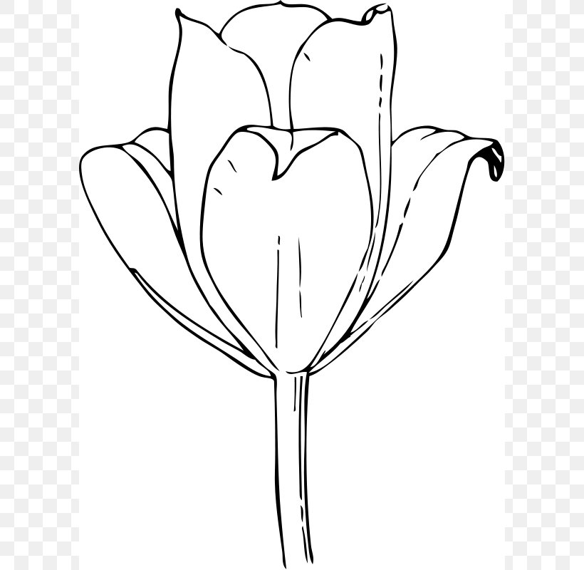 The Tulip: The Story Of A Flower That Has Made Men Mad Coloring Book Clip Art, PNG, 598x800px, Watercolor, Cartoon, Flower, Frame, Heart Download Free