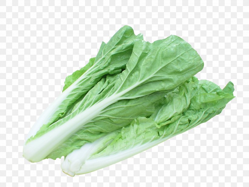 Chinese Cabbage Vegetable Bok Choy Seed, PNG, 3200x2400px, Chinese Cabbage, Bok Choy, Cabbage, Celery, Celtuce Download Free