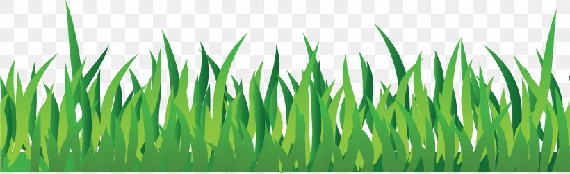 Clip Art, PNG, 3227x988px, Lawn, Commodity, Grass, Grass Family, Green Download Free