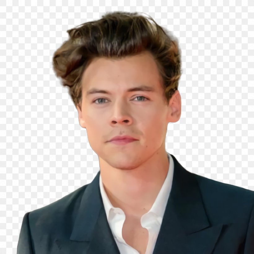 Hair Cartoon, PNG, 1000x1000px, Harry Styles, Channing Tatum, Chin, Dunkirk, Eyebrow Download Free