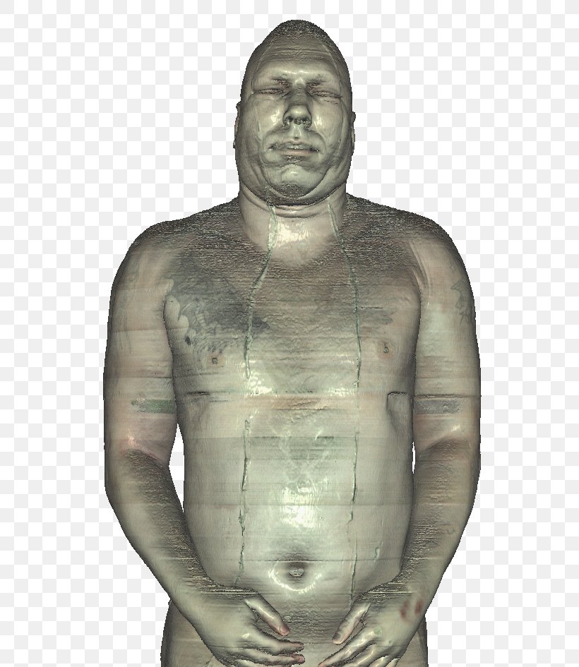 Joseph Paul Jernigan Visible Human Project Homo Sapiens Anatomy Human Body, PNG, 600x945px, Watercolor, Cartoon, Flower, Frame, Heart Download Free
