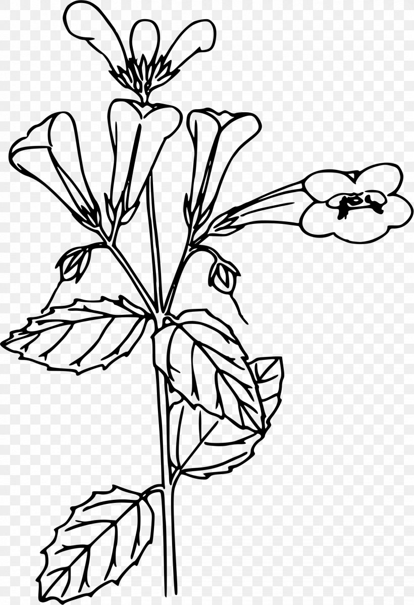 Line Art Black And White Clip Art, PNG, 1643x2400px, Line Art, Art, Beardtongue, Black And White, Branch Download Free