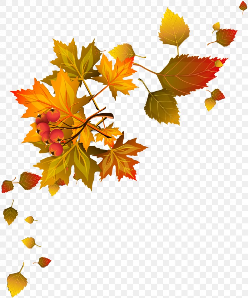 Autumn Leaf Color Autumn Leaf Color Clip Art, PNG, 850x1024px, Autumn, Autumn Leaf Color, Branch, Floral Design, Flower Download Free