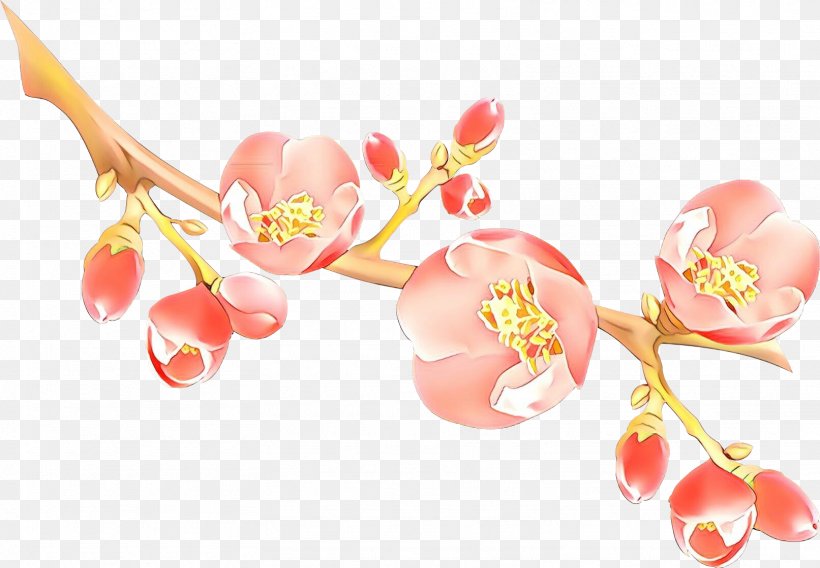 Artificial Flower, PNG, 1613x1119px, Cartoon, Artificial Flower, Blossom, Cut Flowers, Fashion Accessory Download Free