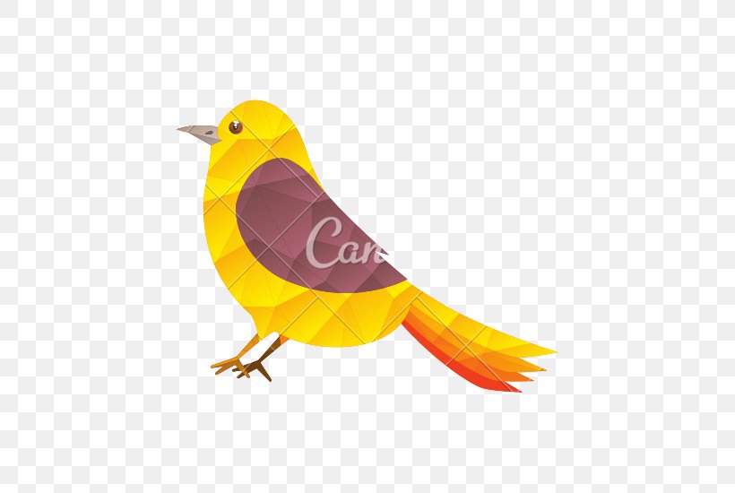 Bird Domestic Canary, PNG, 550x550px, Bird, Animal, Beak, Domestic Canary, Drawing Download Free