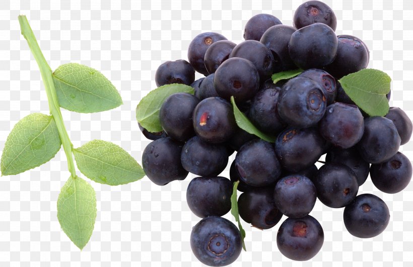 European Blueberry Juice Bilberry Berries, PNG, 3443x2233px, Blueberry, Berries, Berry, Bilberry, Chokeberry Download Free