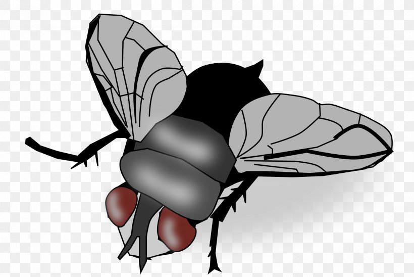Insect Fly Clip Art, PNG, 2400x1605px, Insect, Animal, Arthropod, Black And White, Byte Download Free