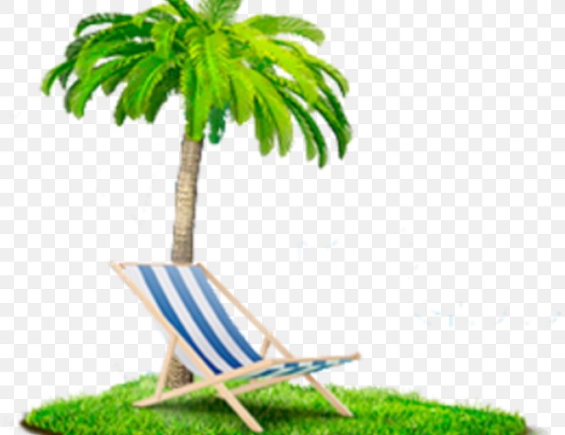 Palm Tree, PNG, 808x632px, Tree, Arecales, Flowerpot, Grass, Green Download Free