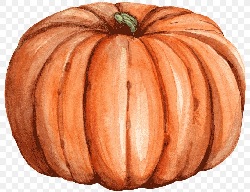 Pumpkin Calabaza Winter Squash Gourd Autumn, PNG, 800x630px, Pumpkin, Autumn, Calabaza, Colorado, Cucumber Gourd And Melon Family Download Free