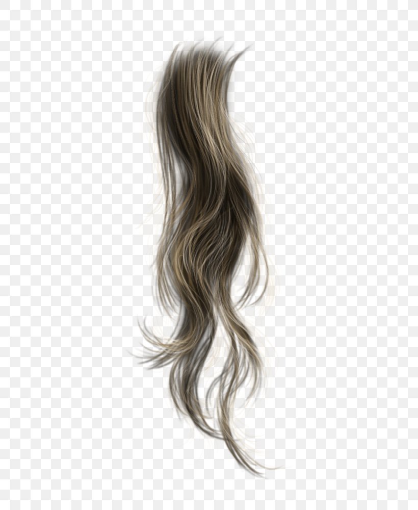 Brown Hair, PNG, 392x1000px, Hair, Black Hair, Blond, Brown Hair, Hair Coloring Download Free