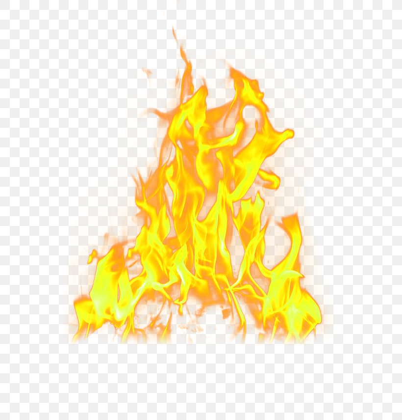 Fire Flame Light, PNG, 658x855px, Fire, Computer, Display Resolution, Flame, Information Download Free
