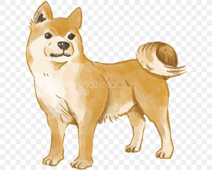Ancient Dog Breeds Finnish Spitz Shiba Inu Pomeranian, PNG, 626x660px, Dog Breed, Akita, Akita Inu, Ancient Dog Breeds, Breed Download Free