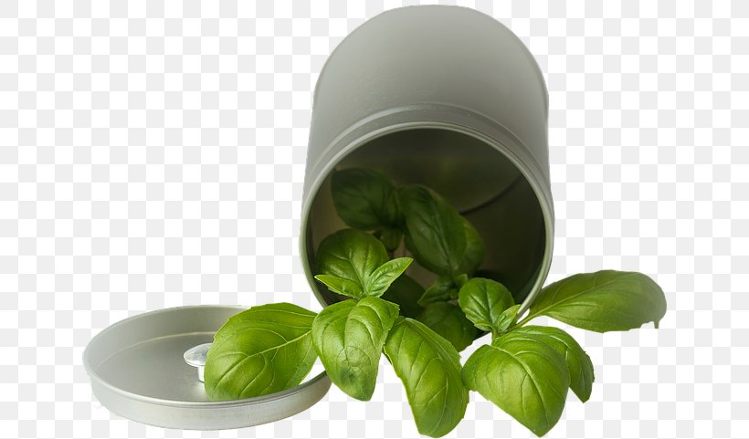 Basil Spice Pianta Aromatica Vegetable Condiment, PNG, 640x481px, Basil, Condiment, Herb, Herbalism, Ingredient Download Free