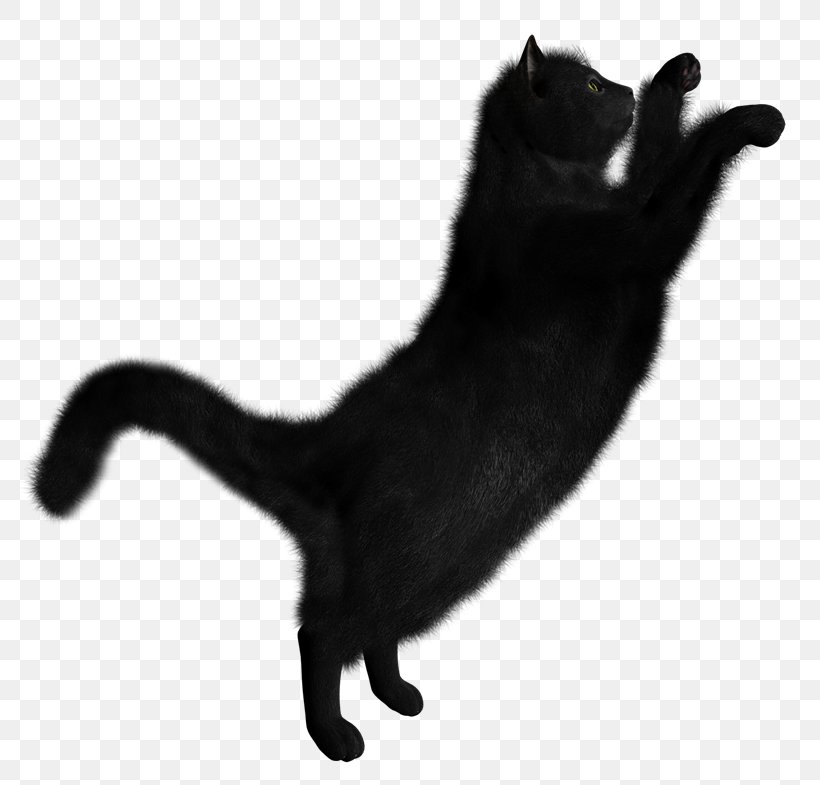 Black Cat Clip Art Transparency, PNG, 800x785px, Cat, Black, Black And White, Black Cat, Carnivoran Download Free