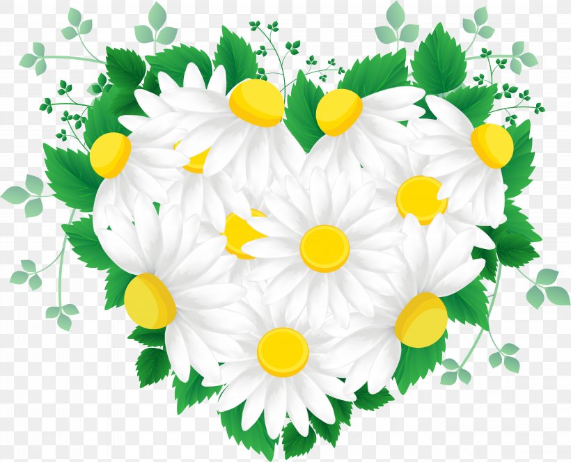 Cut Flowers Green, PNG, 4611x3737px, Flower, Bud, Chrysanths, Cut Flowers, Daisy Download Free