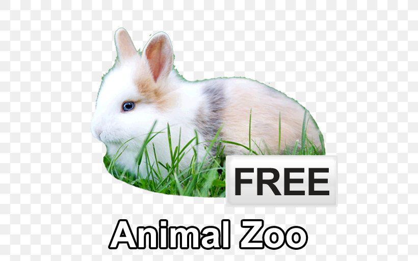 Domestic Rabbit Personal Trainer Physical Fitness Interval Training, PNG, 512x512px, Domestic Rabbit, Easter Bunny, Fauna, Fitness Boot Camp, Grass Download Free