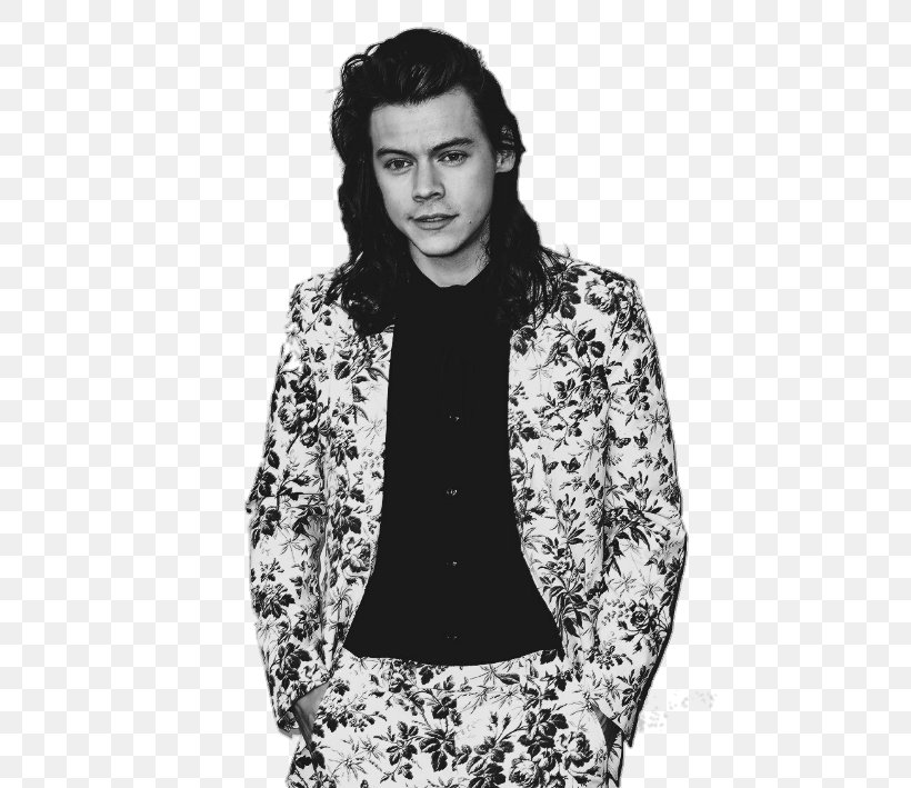 Harry Styles Blazer Suit Fashion T-shirt, PNG, 567x709px, Watercolor, Cartoon, Flower, Frame, Heart Download Free