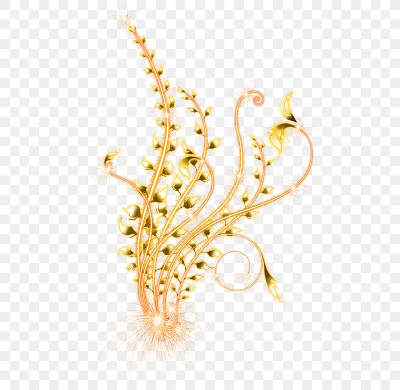 Body Jewellery Grasses Cereal Grain, PNG, 800x800px, Body Jewellery, Body Jewelry, Cereal, Commodity, Family Download Free