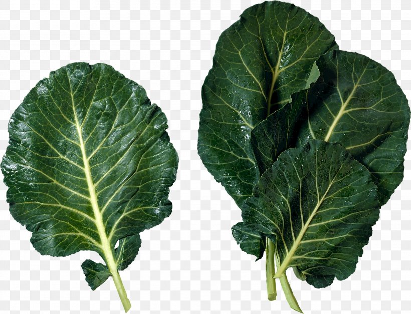 Cabbage Marrow-stem Kale Cuisine Of The Southern United States Brussels Sprout Leaf Vegetable, PNG, 2228x1704px, Soul Food, Blanching, Brassica Juncea, Cabbage, Collard Greens Download Free