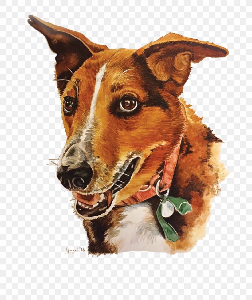 Dog Breed Charlie's Animal Rescue Centre Animal Rescue Group Dobermann, PNG, 1389x1654px, Watercolor, Cartoon, Flower, Frame, Heart Download Free