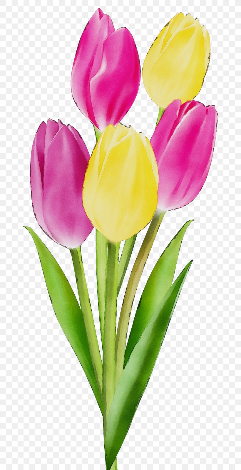 Artificial Flower, PNG, 707x1600px, Watercolor, Artificial Flower, Bouquet, Bud, Closeup Download Free