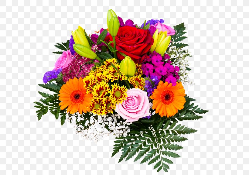 Flower Telugu Night, PNG, 757x576px, Flower, Annual Plant, Chrysanths, Cut Flowers, Evening Download Free