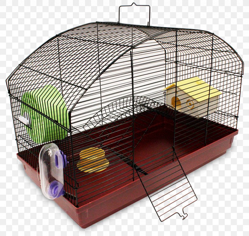 Hamster Guinea Pig Cage Rodent Pet, PNG, 845x800px, Hamster, Animal, Bebedouro, Burrow, Cage Download Free
