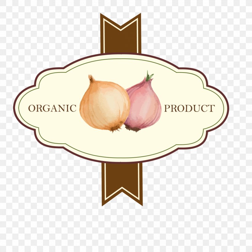 Shallot Illustration, PNG, 2083x2083px, Shallot, Cartoon, Drawing, Food, Ironon Download Free