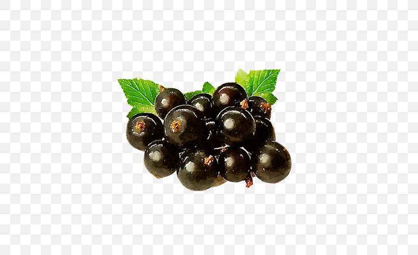 Blackcurrant Gooseberry Fruit, PNG, 500x500px, Blackcurrant, Apricot, Berry, Blueberry, Chokeberry Download Free